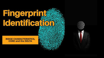 Fingerprint Identification | Personal Identification Techniques