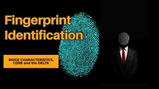 Fingerprint Identification | Personal Identification Techniques