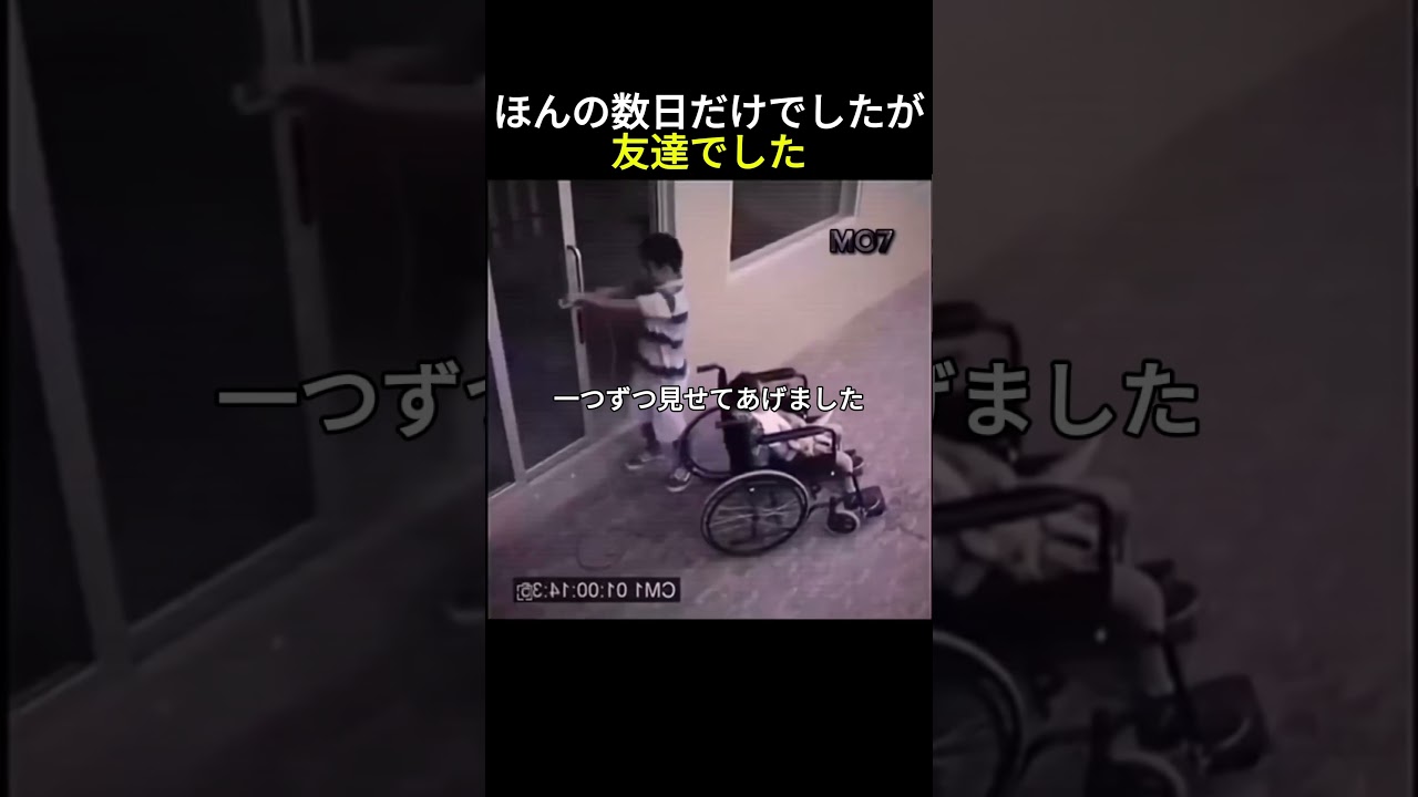 たった数日だけでしたが二人は友達でした