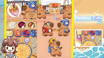 Perfect Tidy Level 222 Complete Walkthrough