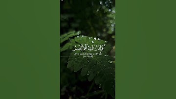 وإذ جاؤوكم من فوقكم . للقاريء ياسر الدوسري #ياسر_الدوسري #quran #قرآن #تلاوة_خاشعة #أذكار