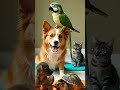 Dog, Cat, and Parrot: The Great Workout!
