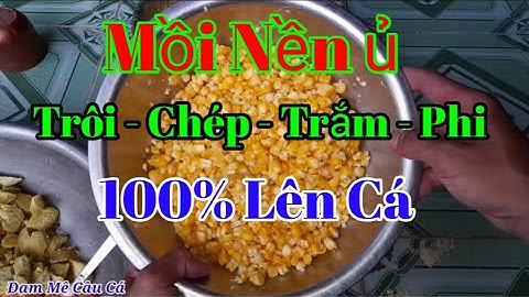 Bài Mồi Nền Chuyên Câu Cá Trôi, Chép, Trắm, Hiệu Quả - Dễ Làm