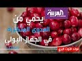 فوائد التوت البري