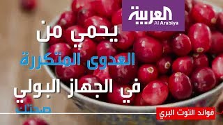 فوائد التوت البري