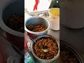 Chennai Sundari Akka Kadai #shortsfeed #shorts