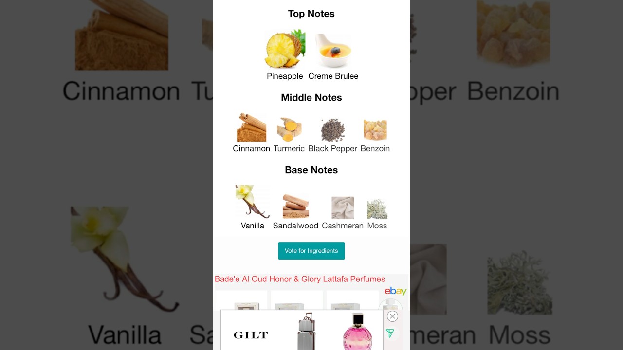 Scent of the day Lattafa Bade'e Al Oud  