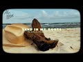 Alli walker  sand in my boots female pov lyric