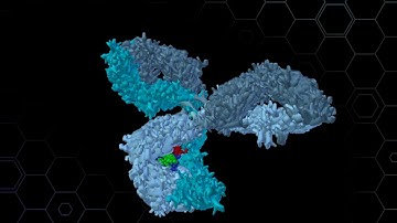 GlycanAge Educational Video