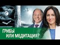 Психоделический опыт на пути к просветлению. Психотропные средства и духовный рост. Сообщество DWI