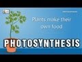 Photosynthesis | Photosynthesis in plants | Photosynthesis - Biology basics for children | elearnin