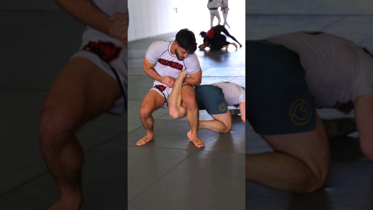 Бостонский краб 