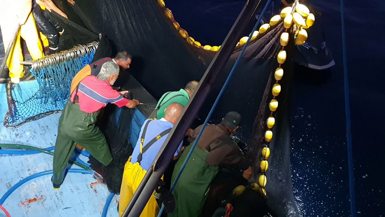 BOUHAROUN Mer&Pêche بوهارون صيد و بحر, - Pêche sardines- Octobre 2019