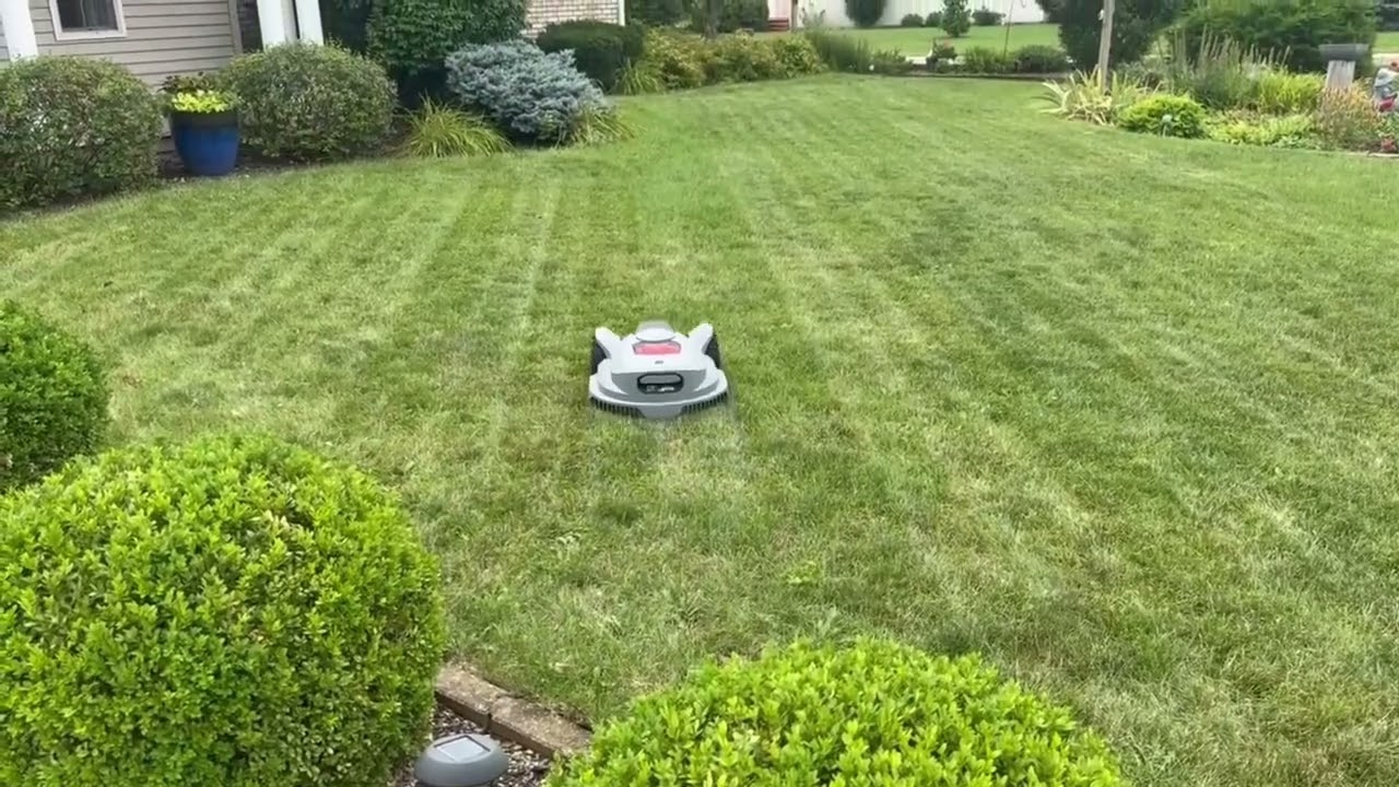 🌿 The Future of Lawn Care: How Robotic Mowers Are Changing the Game 🤖✨