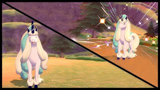[Live] Shiny Galarian Rapidash after 8,077SRs in The Crown Tundra DLC Pokémon Shield! [Full Odds]