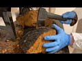 How It S Made Chaga Tea By Birch Boys Inc Inonotus Obliquus How It S Made Chaga Tea By Birch Boys Inc Inonotus Obliquus