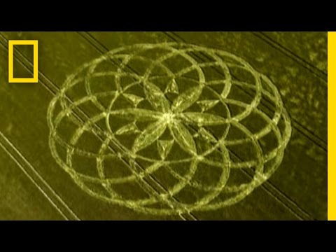 Crop Circle Mystery | National Geographic