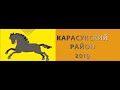 Карасукский район 2019