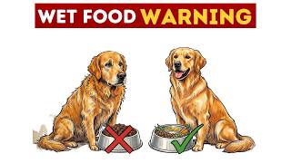 Stop Feeding Your Dog Wet Food Daily (Vets Warning)