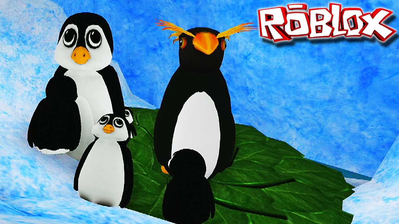 Penguin Simulator Roblox Gameplaypt Br Família Pinguim - 
