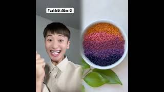 tuilagray   Hài hước video tổng hợp#fypシ #funny #pov #fyp 11