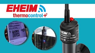 EHEIM thermocontrol+e - Verbindung & Einrichtung