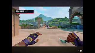 Valorant Gekko Ult Old Stuff Guy