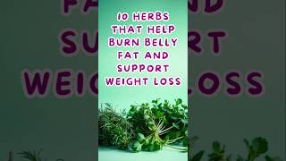 Top 10 Herbs To BURN Belly Fat! | Herbs for weight loss #shorts