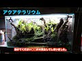 助けてください。アクアテラリウムに◯◯が大発生！どうしたらいいのでしょうか！？