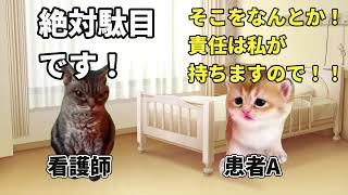 インパクトが強すぎる患者の話。最強の金持ちは私だ！【猫ミーム】
