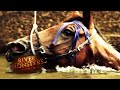 Mysterious Horse Attack | HORROR STORY | River Monsters