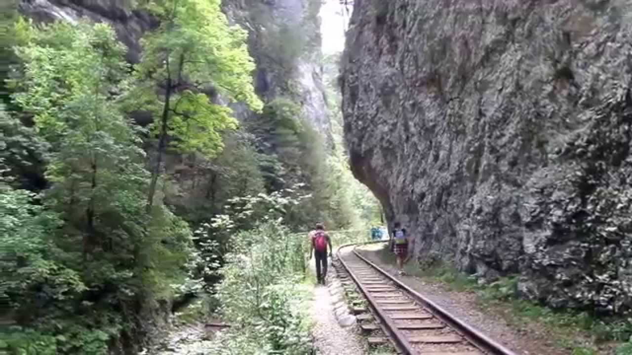 Гуамка на машине Гуамка на машине