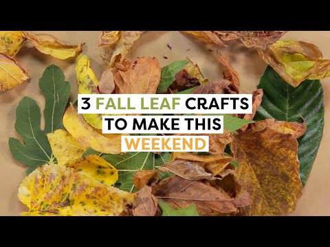 3 Cozy Fall