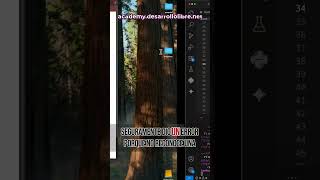 🐍 Curso Django - Migraciones en Django, Flujo básico y migraciones existentes - 24