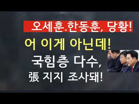 [문틀란 TV]   장동혁,  대표직 연임 가능성이  높은  4가지 이유!
