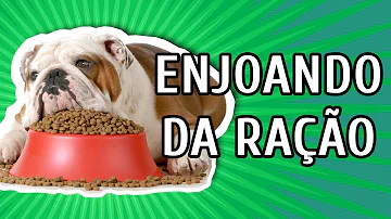 Como saber se o cachorro não gosta da ração?