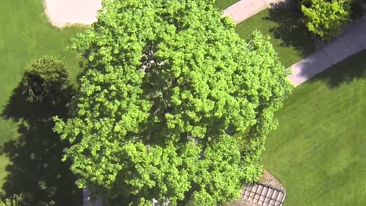 to Meridian Valley Country Club YouTube