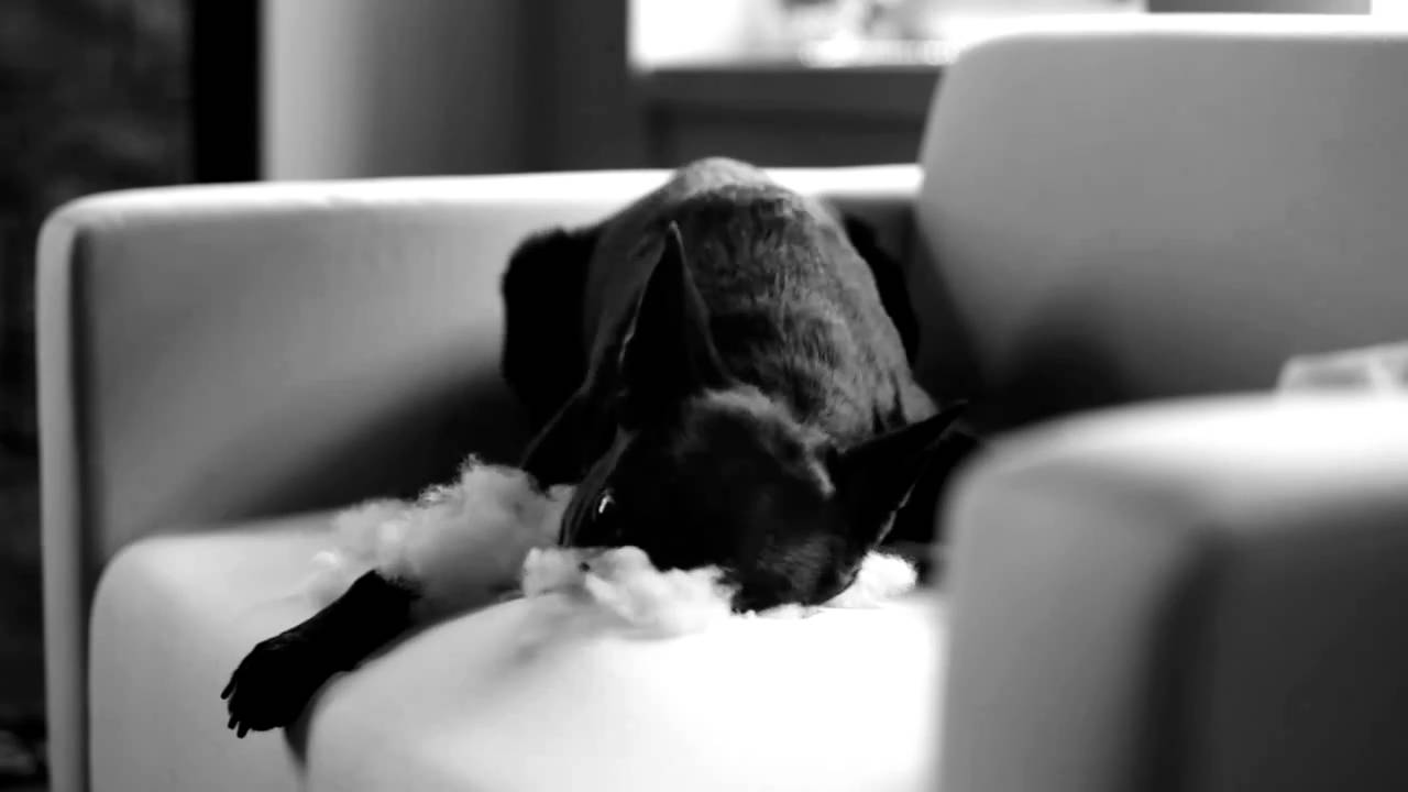 Pikavippi - lyhyesti - Kun tarvetta esiintyy