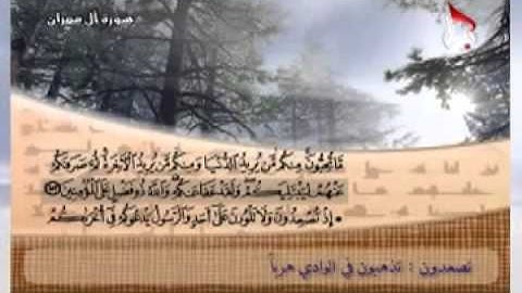 القرآن الكريم الجزء - 4 - الحاج رافع العامري