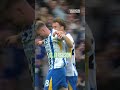 1 Season, 23 Goalscorers 🤯 #brightonandhovealbion