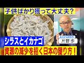 【シラスとイカナゴ】子供の魚の漁獲が招く日本の資源減少とは!?