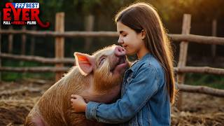 ELVIS THE PIG