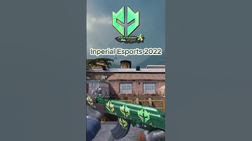 Cs2 Ak47 Wintergreen Inperial Esports 2022  #csgo #csgo #gaming #cs2 #cs2stickers
