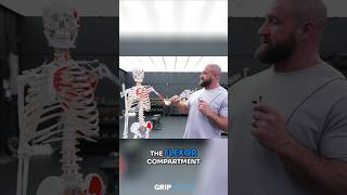 Isometric VS Dynamic Training - Which is Better