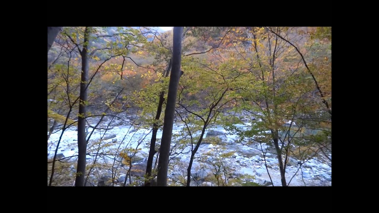 日光 龍王峡 鬼怒川の紅葉はいつが見ごろ 日光 龍王峡 鬼怒川の紅葉はいつが見ごろ