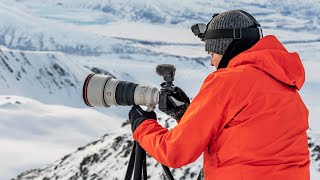 The Sony A9III Review: Real World Testing in Alaska