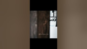 Unreal Engine 5: Stunning Realistic Architecture Visualization | Explore Immersive Environments.