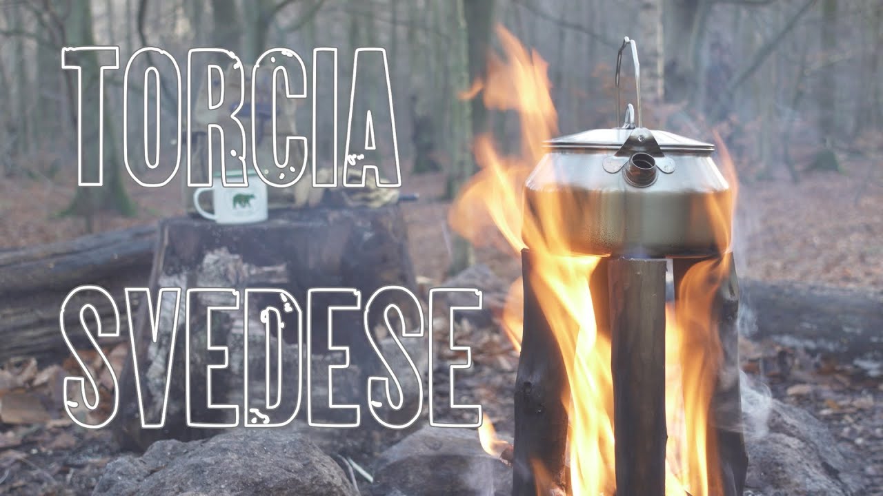 TORCIA SVEDESE (Variante) e PROMETHEUS Wild Canvas