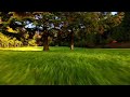 Dji Avata chase