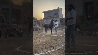 Monkey Kasana Jawli First Price Tournament 7-6-25